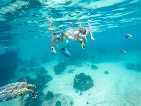 Snorkeling Paradise: Magic Sands Beach Revealed